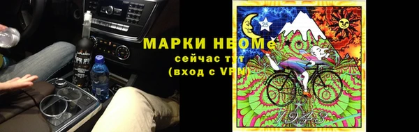 шишки Корсаков
