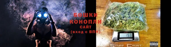 индика Красноперекопск