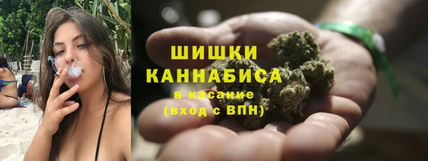 шишки Корсаков