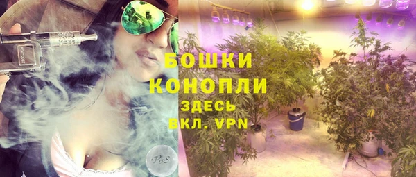 шишки Корсаков
