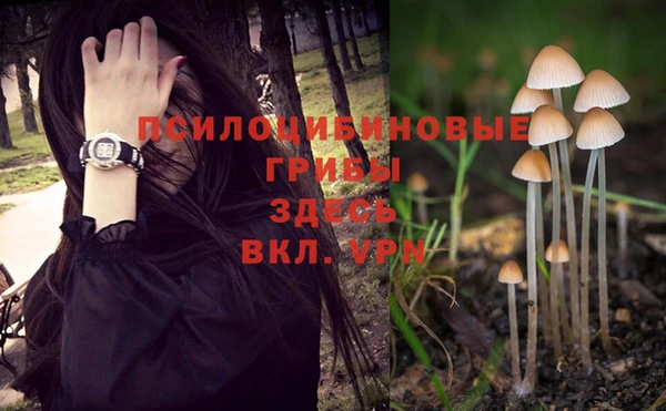 ешки Краснослободск