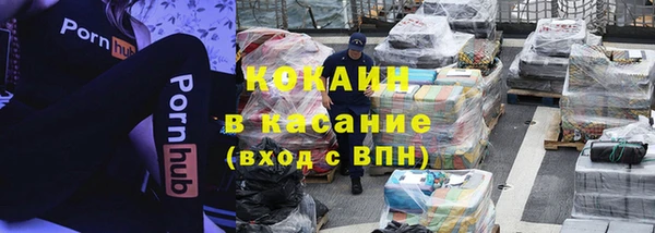 шишки Корсаков