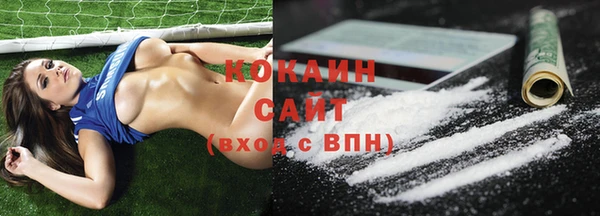 шишки Корсаков