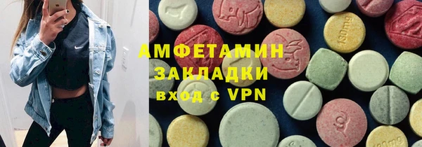 шишки Корсаков