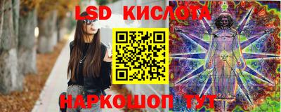 мдпв Владимир