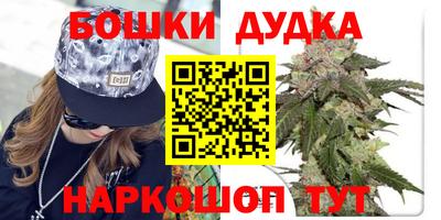мдпв Владимир