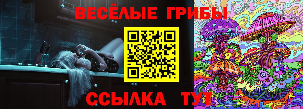 Галлюциногенные грибы Cubensis  Вход с VPN  Киржач 